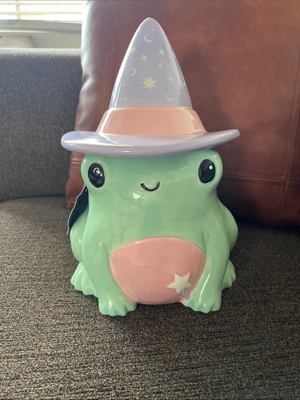Halloween Whimsical Mint Witch Frog Cookie Jar